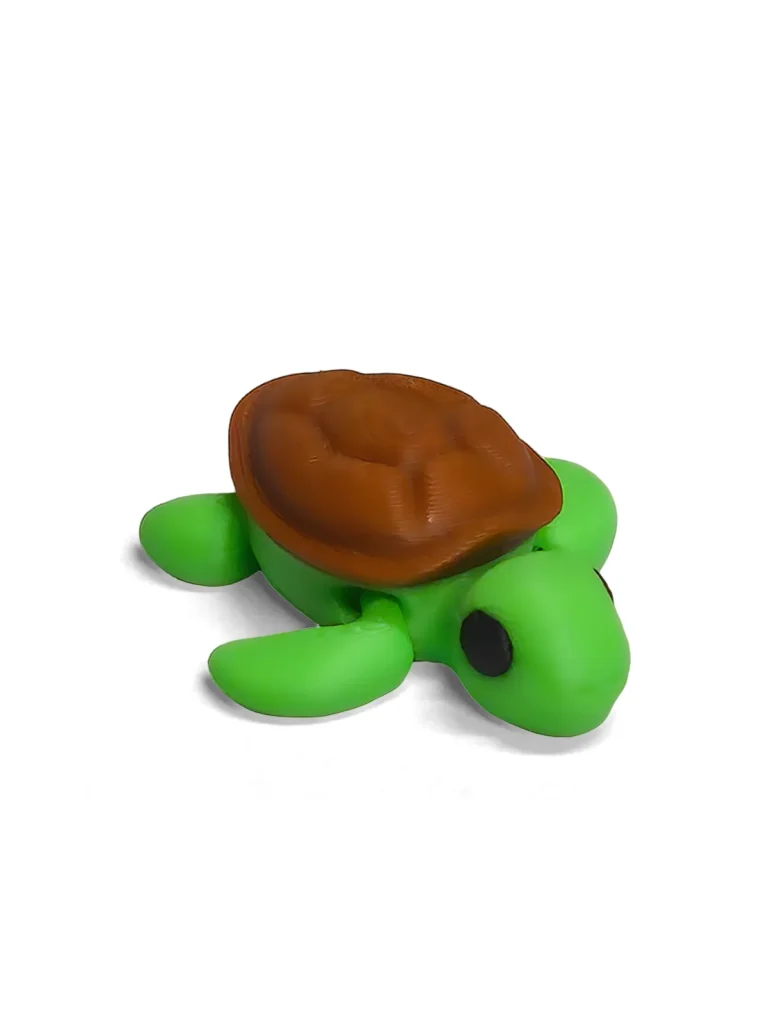 Minimal Tortuga en estudio